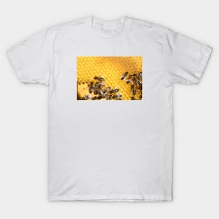 Honey honeycomb / Swiss Artwork Photography T-Shirt